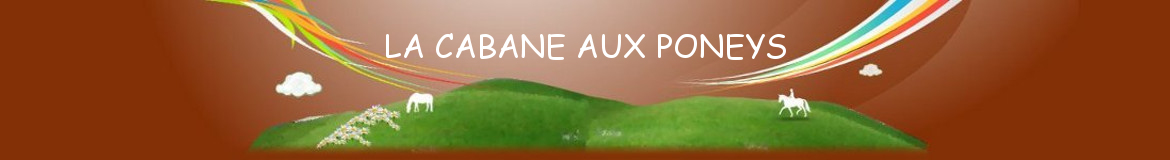 LA CABANE AUX PONEYS